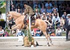 Pferd International 136